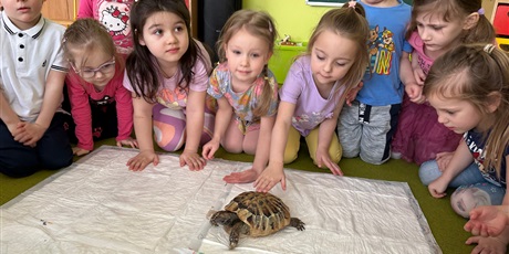 Żółw Maks gościem w przedszkolu