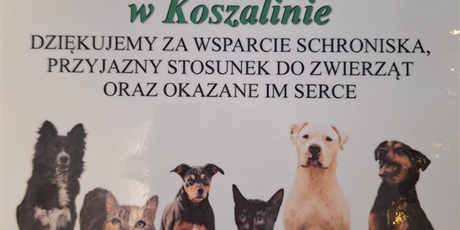 AKCJA "POMOCNA DŁOŃ"